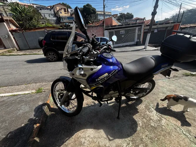 Tenere 250