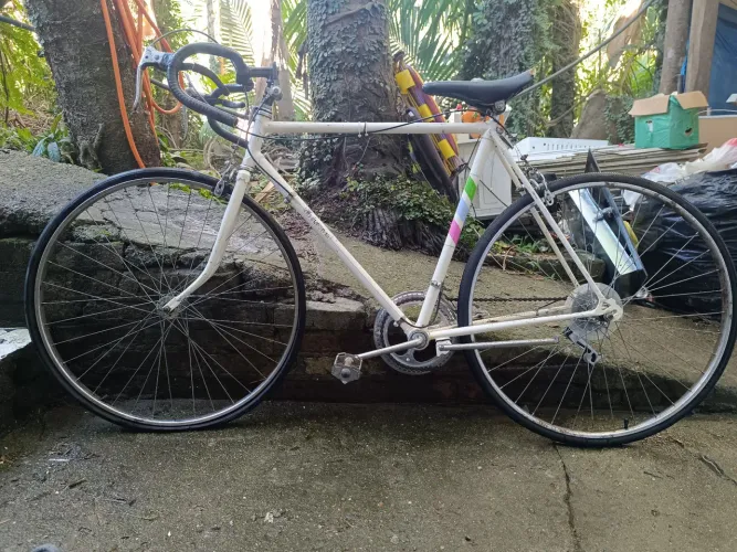 VENDO CALOI 10 ANTIGA