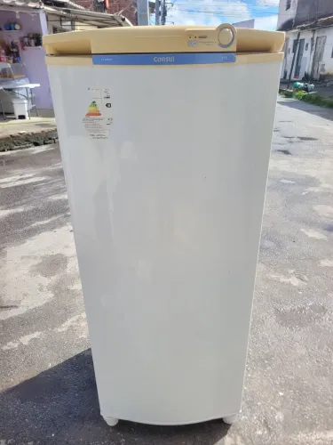 Freezer vertical consul 