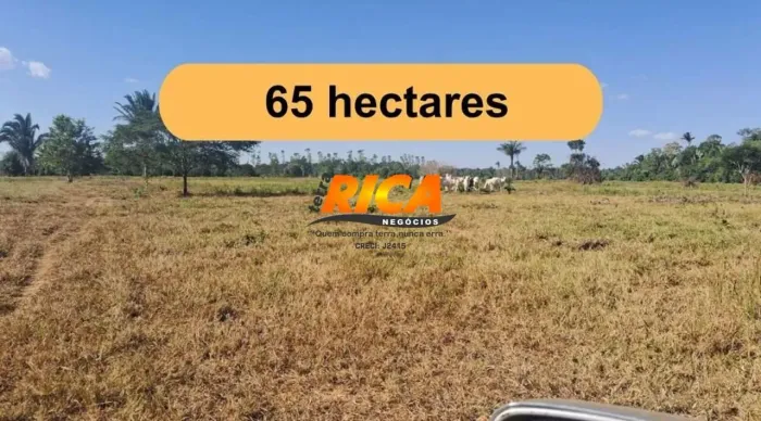 Sítio à venda 65 hectares - Ramal Mucui Porto Velho/RO