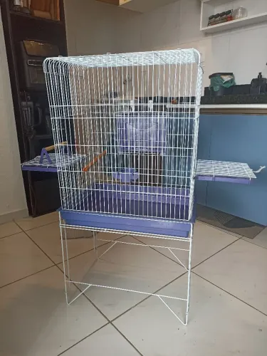 Gaiola grande para calopsita e periquitos