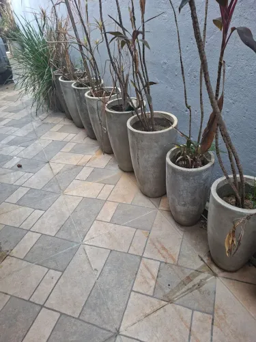 Vasos de plantas de cimento.
