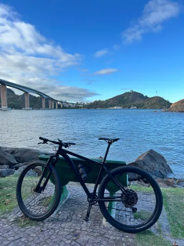 BIKE ARO 29