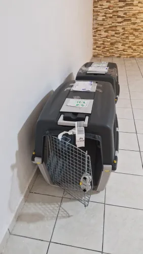 Caixa de viagem Pet N° 7