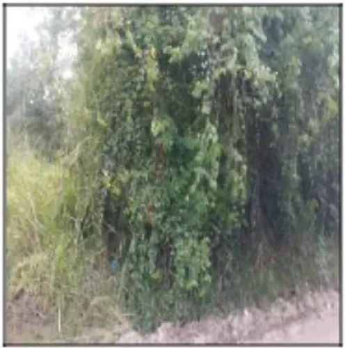 Imóvel com potencial de valorização Terreno no Agro Brasil (sambaetiba), Itaborai - RJ, N