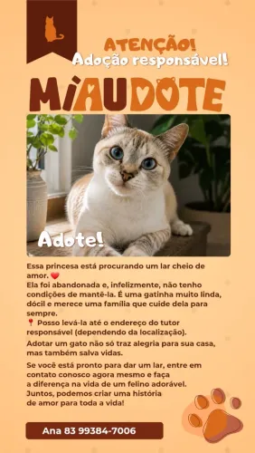 GATA PARA ADOÇÃO - POR FAVOR, ALGUÉM ADOTA