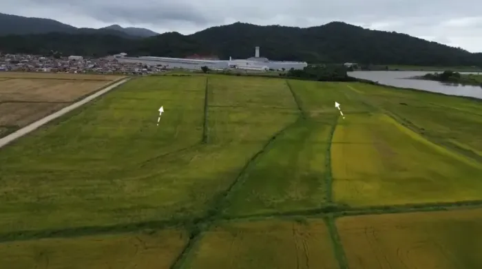 TERRENO 20 HECTARES - 201 MIL METROS QUADRADOS