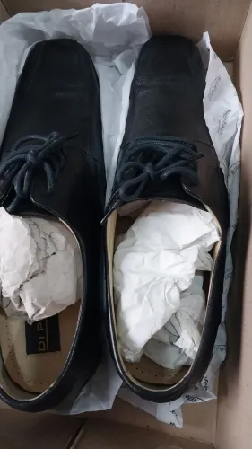 Sapato masculino couro di pollini