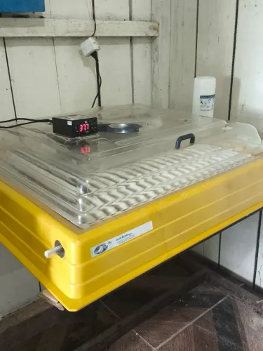 Chocadeira Premium Ecológica IP200