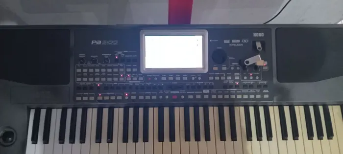 Teclado KorG PA900 