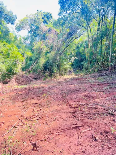 Sítio de 1 hectare, com bastante árvores, apenas 3 km da RS -020 parada 111