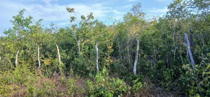 Vendo esse terreno em una dos moraes morros próximo a vários banhos