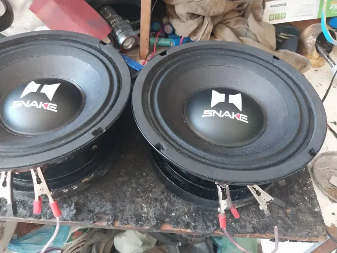 Vendo dois médio de 8 polegadas de 500 w cada