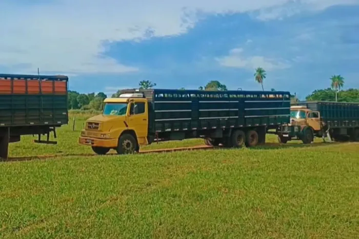 Caminhão MB 1418 Truck Boiadeiro 