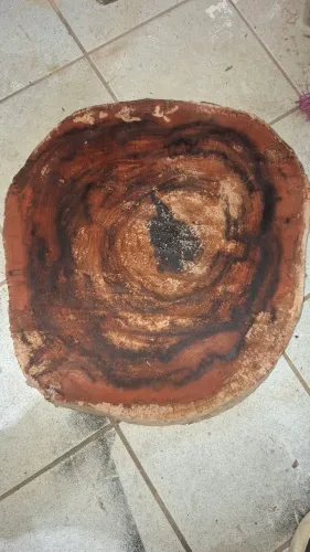 Bolacha em angico preto 