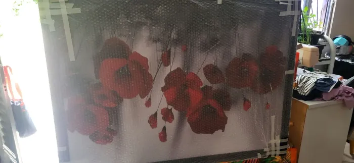 Quadro com gravura novo no plástico