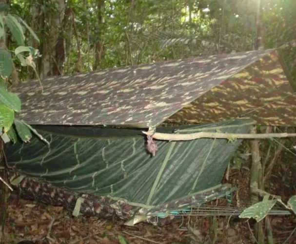 Rede de Selva tipo Exército Brasileiro.