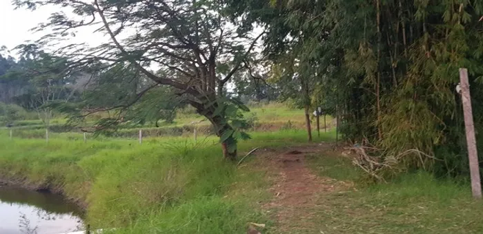 Lote de 20.000m2, Dr Camargo - Pr, R$ 700.000,00