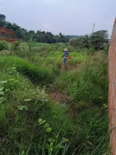 Limpa terrenos, roçagem, manutenção jardins