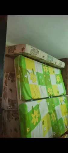 Colchões 250 cada