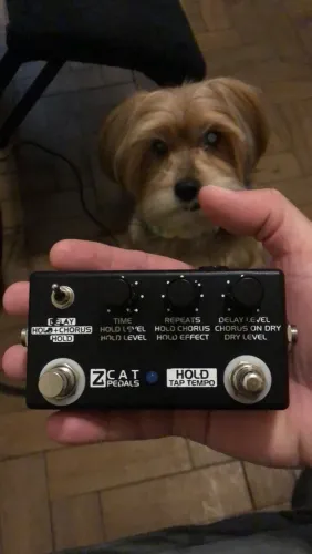 Zcat Pedals Chorus+Delay+Frezee