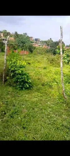 Terreno ilha de maré (praia grande)