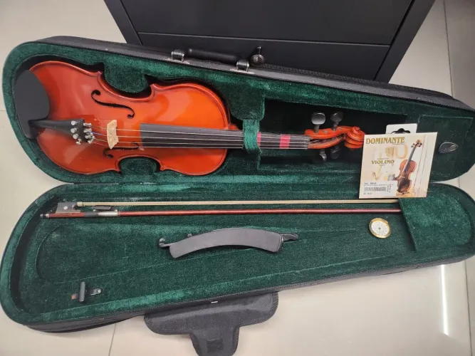 Violino profissional 4/4 MICHAEL 