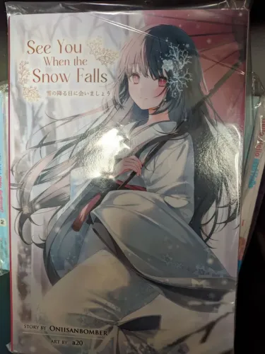 See You When the Snow Falls - Light Novel