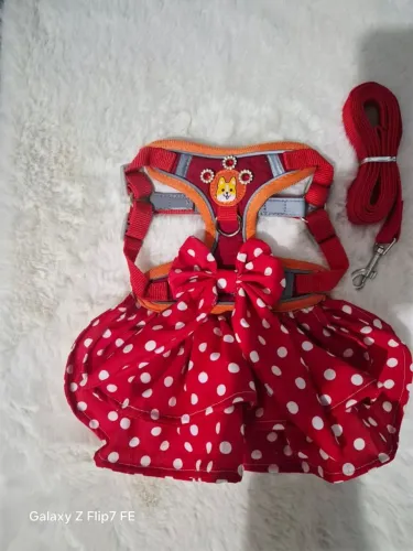 Acessórios e roupas e fantasias