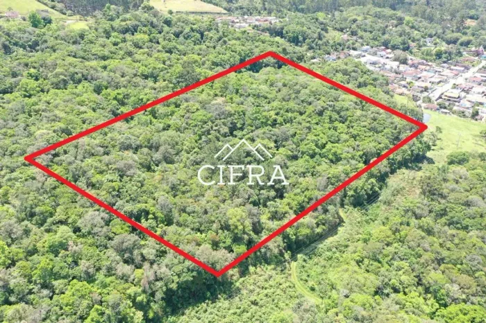 Terreno Rural - Sítio - Venda - 02 hectares - 22.270m2 - Investimento - BR-470 - Pamplona 