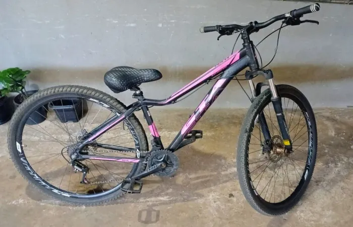 Bicicleta Aro 29