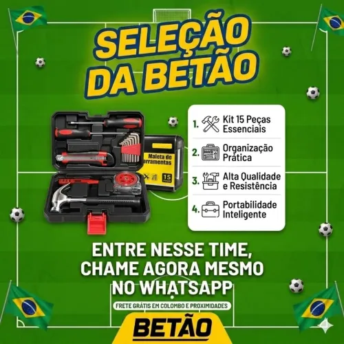 MALETA DE FERRAMENTAS SECCIONADAS / PHILIPS / FENDA / ALLEN / TORX