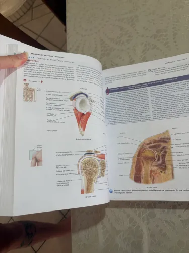 Princípios de anatomia e fisiologia