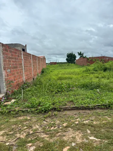 Vendo um lote no Loteamento sagrada Família em Canindé próximo IFCE