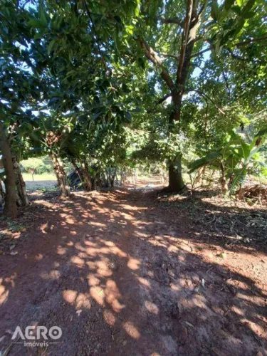 Fazenda ,5,0594 alqueires paulistas por R$ 1.800.000 - Pederneiras,SP