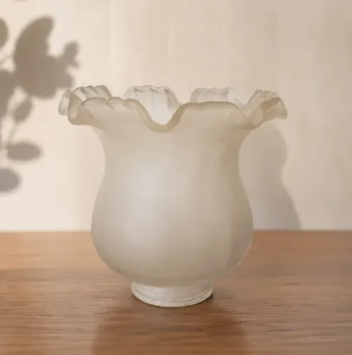 Cúpula Tulipa de Vidro Fosco para Luminária - Bocal 6 cm