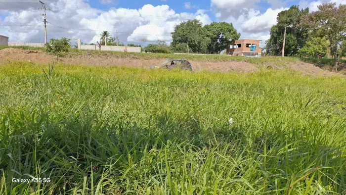 Excelente loteamento de mini-chácaras a 12 km de Feira, Coração de Maria