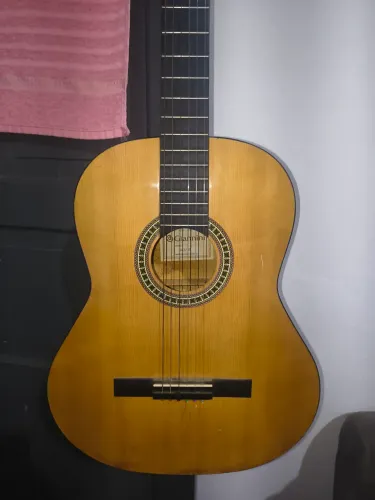 Vendo violão Giannini, usado. 