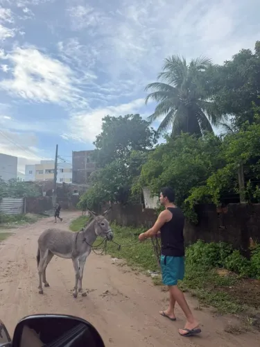 Caseiro sítio chácara casa praia veraneio
