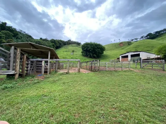 Vende-se Fazenda em Borda da Mata - MG