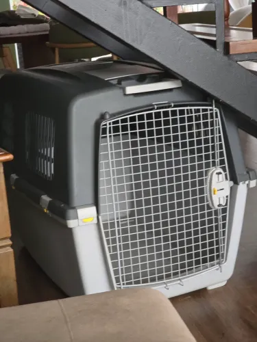 Caixa de Transporte Gulliver número 6 para cães de grande porte