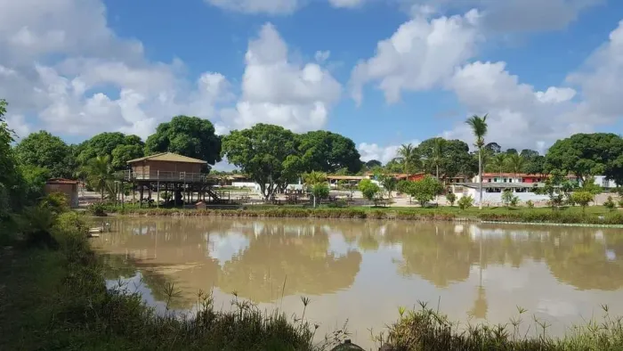 Sitio - Lamarão do Passé - São Sebastião do Passé