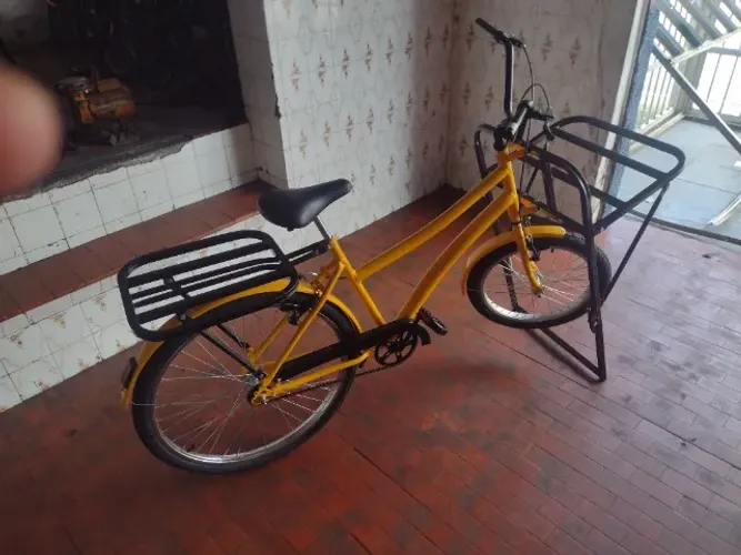 Bicicleta cargueira 