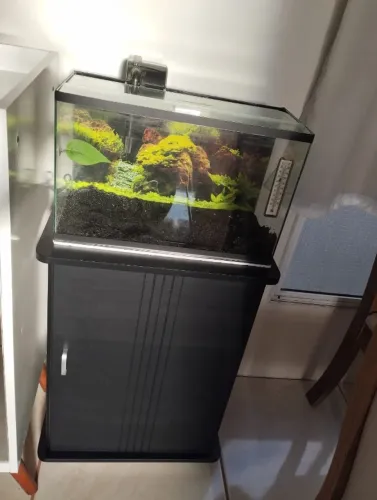 Aquário Completo 20L + Móvel | Semi Novo | Pronto para Uso