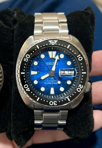 seiko turtle manta ray