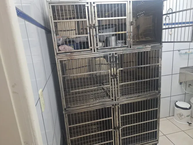 Canil aço inox para 7 animais