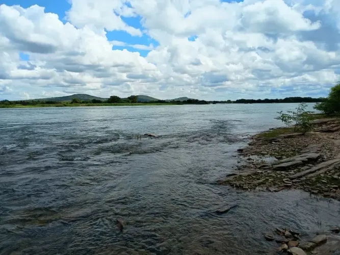 200 HECTARES AS MARGENS DO SÃO FRANCISCO -BA