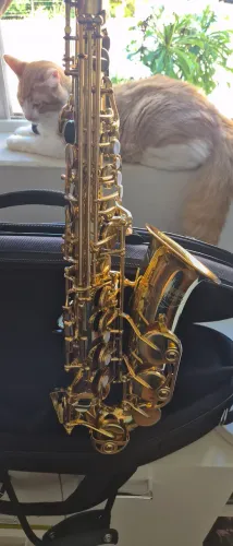 Saxofone Yamaha 34
