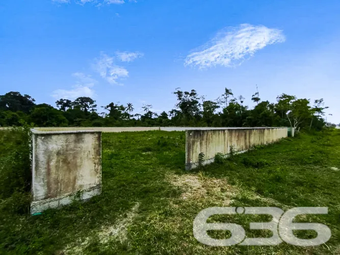 Terreno | São Francisco do Sul | Ervino