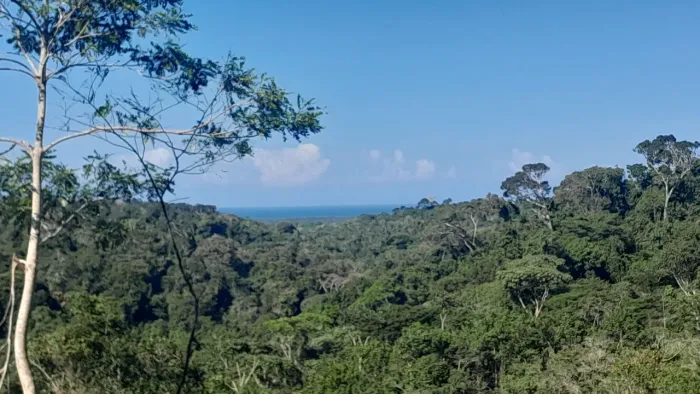 Sítio Itacaré Bahia